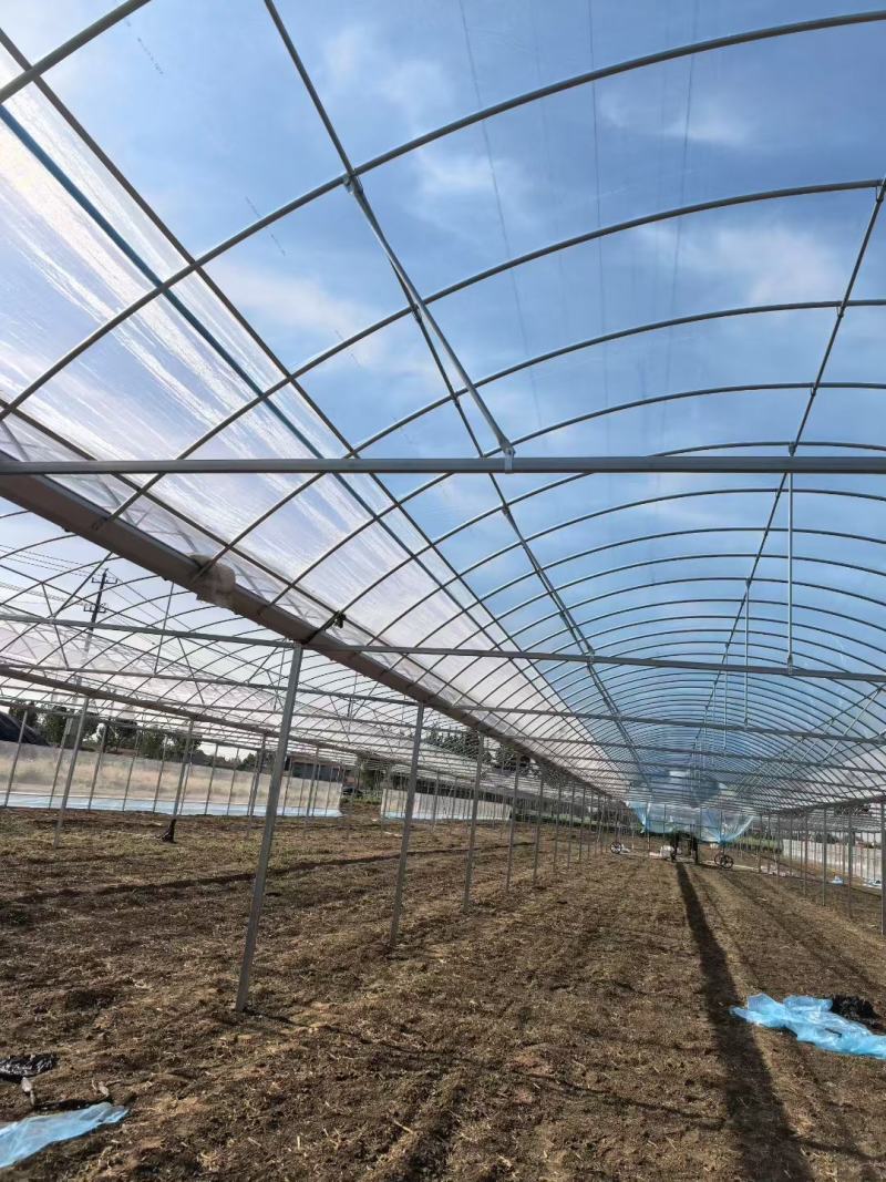 专业温室大棚材料养殖大棚种植大棚大棚骨架大棚材料温室大棚