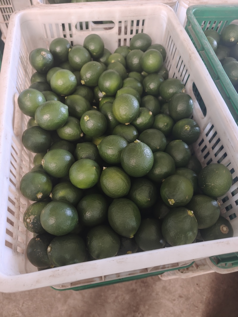 青柠檬