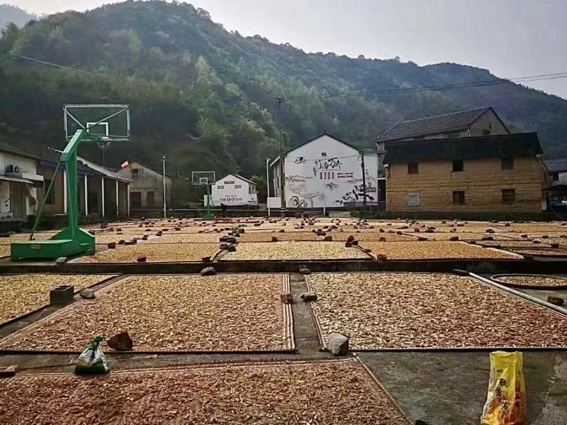 绍兴梅干菜2026年新货，一手货源质量保证，视频看货致电