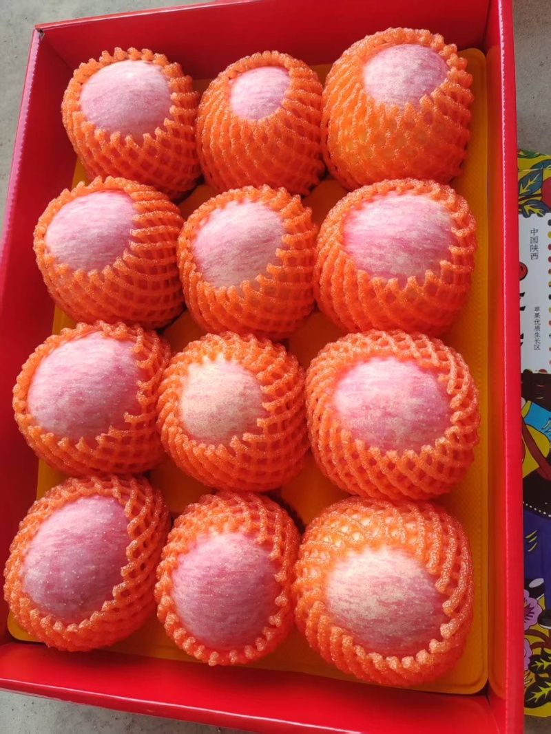 陕西精品富士苹果口感脆甜一手货源质量保证全国发货