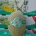 河南夏邑晓蜜25哈密瓜，产地供货，量大从优，欢迎来电咨询
