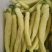 精品白椒大量上市