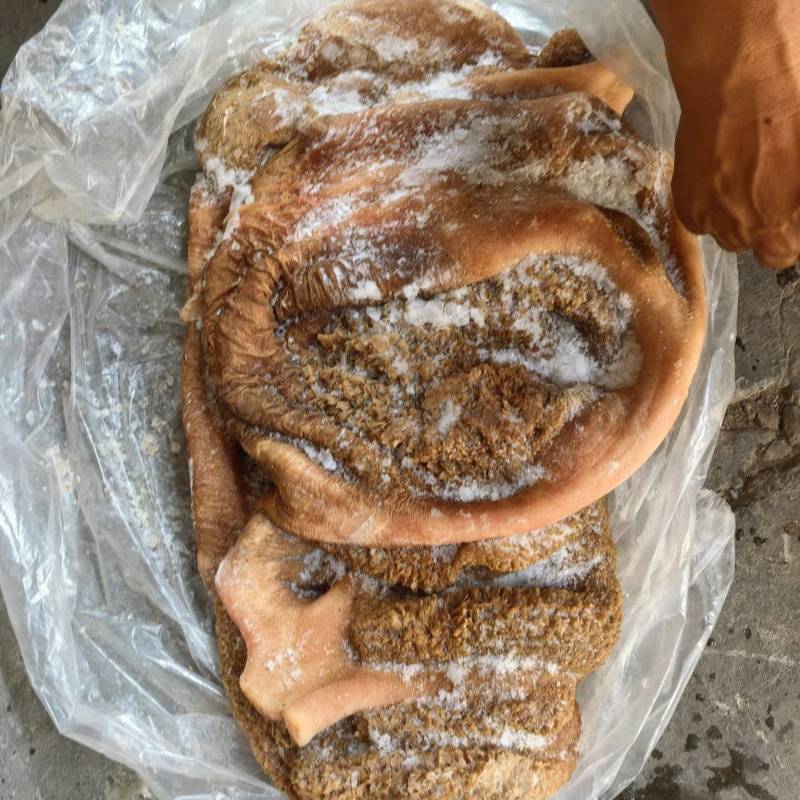 【精品毛肚】国产生毛肚牛肚屠宰场一手可加工定制