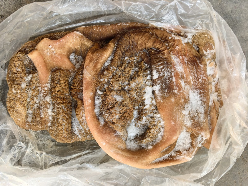 【精品毛肚】国产生毛肚牛肚屠宰场一手可加工定制