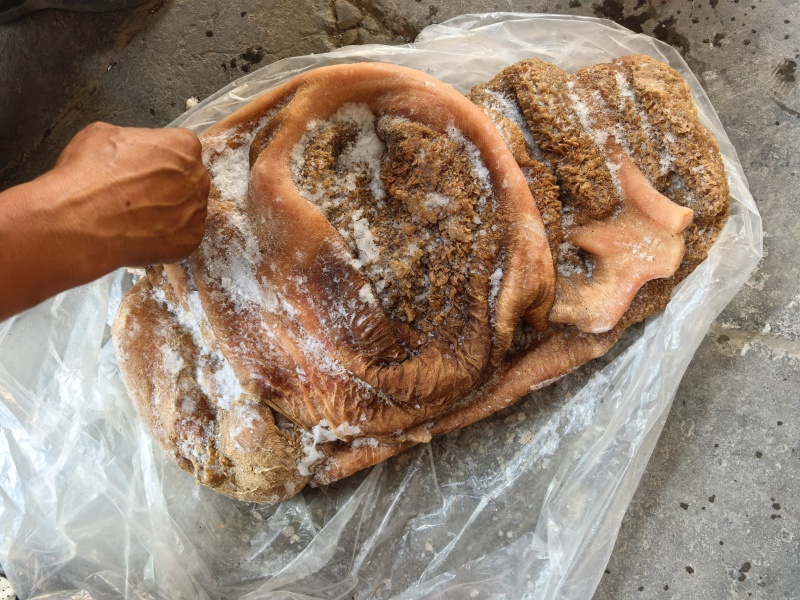 【精品毛肚】国产生毛肚牛肚屠宰场一手可加工定制