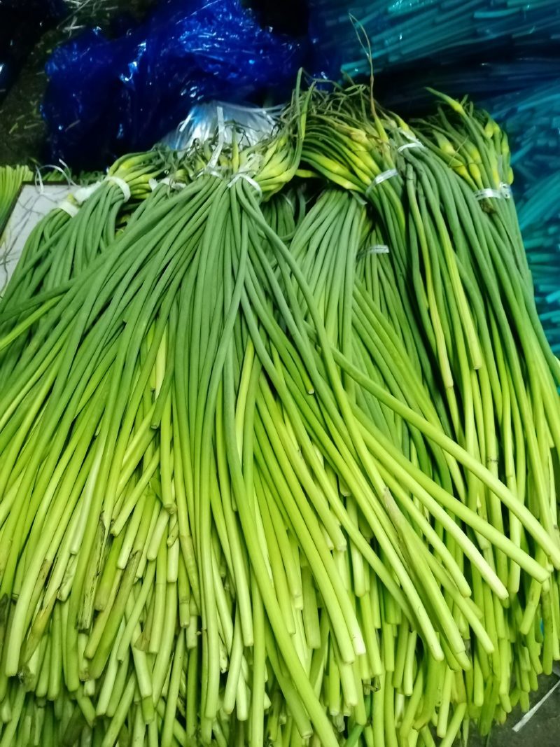 金乡优质蒜苔质地好，品种优，口感好，鲜嫩可口，营养丰富