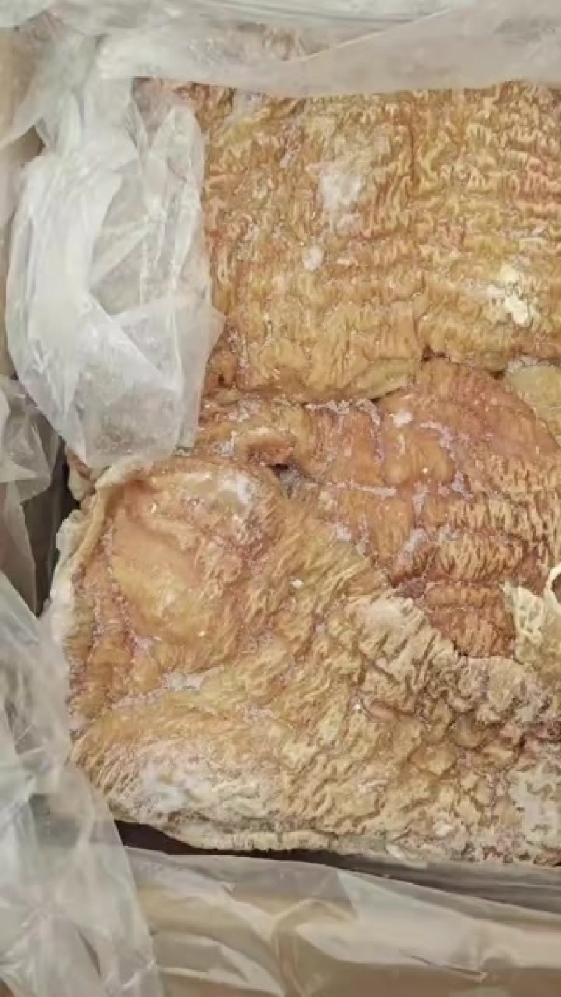 牛碗口纯清水煮牛大肠头牛小肠圆肠破肠牛肚牛伞带