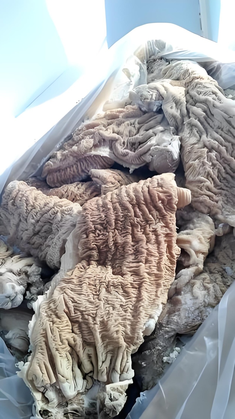 牛碗口纯清水煮牛大肠头牛小肠圆肠破肠牛肚牛伞带