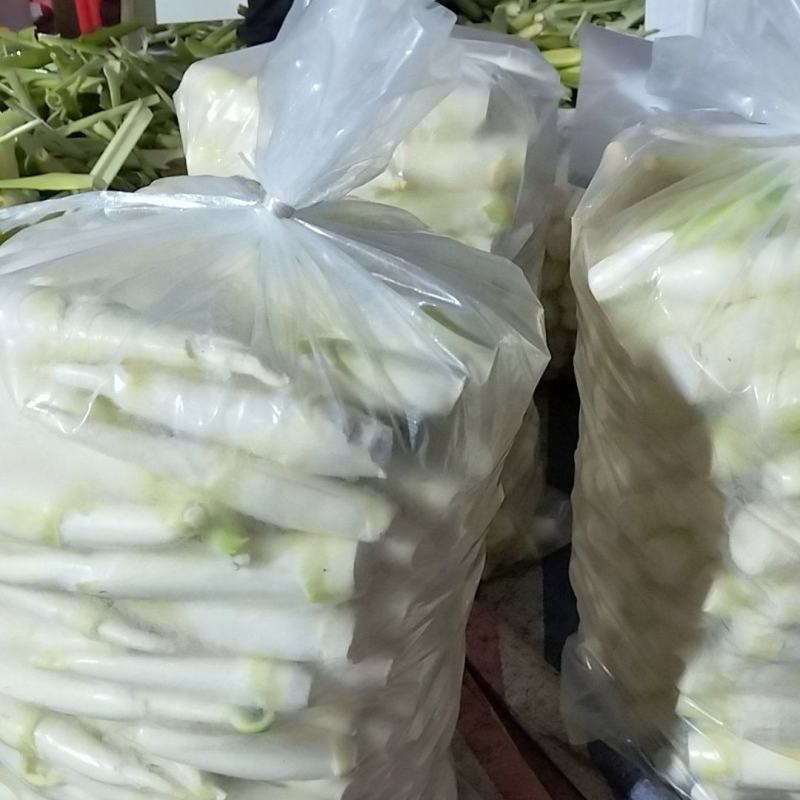 磐安高山茭白美人茭茭白肉