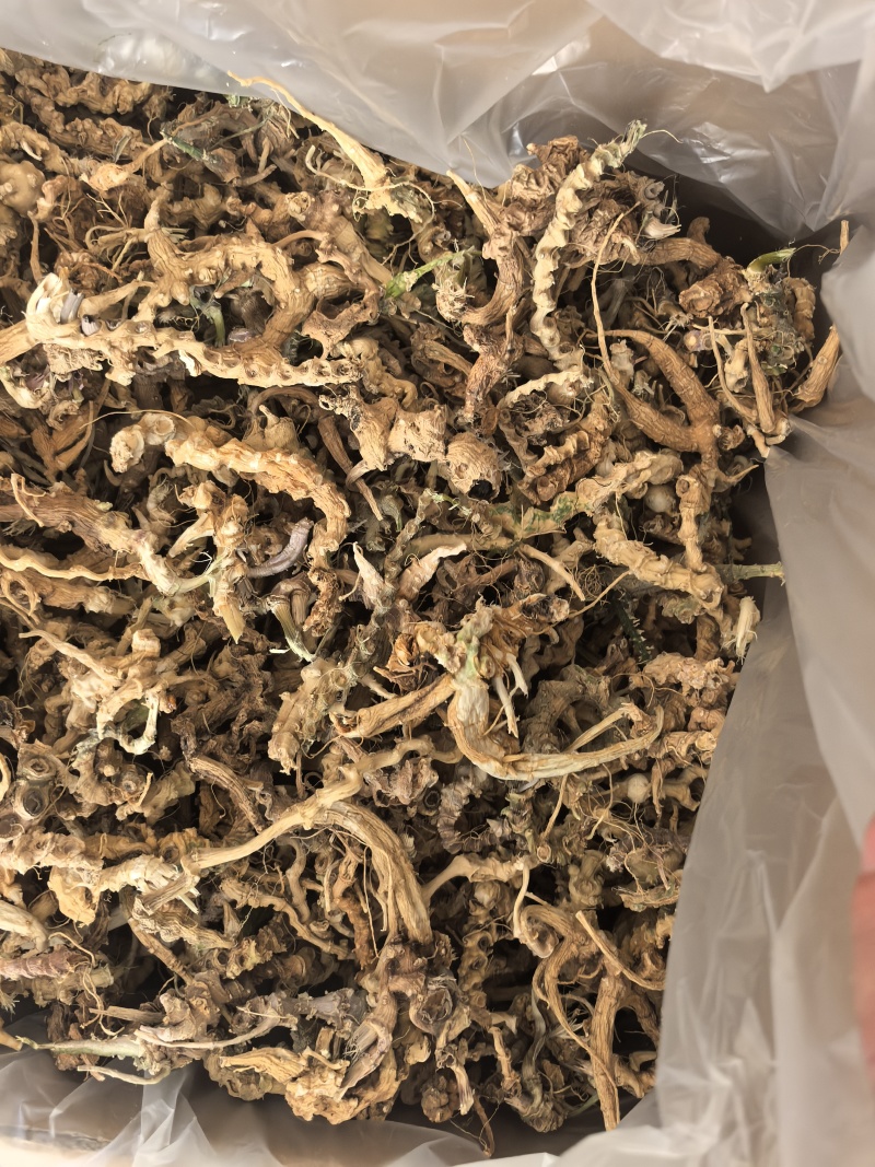 竹节叁