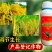 0.01%14羟基芸苔素甾醇高含量植物生长调节剂喷雾