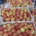 鲁丽苹果🍎山东省果树研究所培育的中早熟苹果品种!