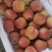 鲁丽苹果🍎山东省果树研究所培育的中早熟苹果品种!