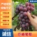 【推荐】河北万亩巨峰葡萄品质保证诚信经营欢迎老板联系