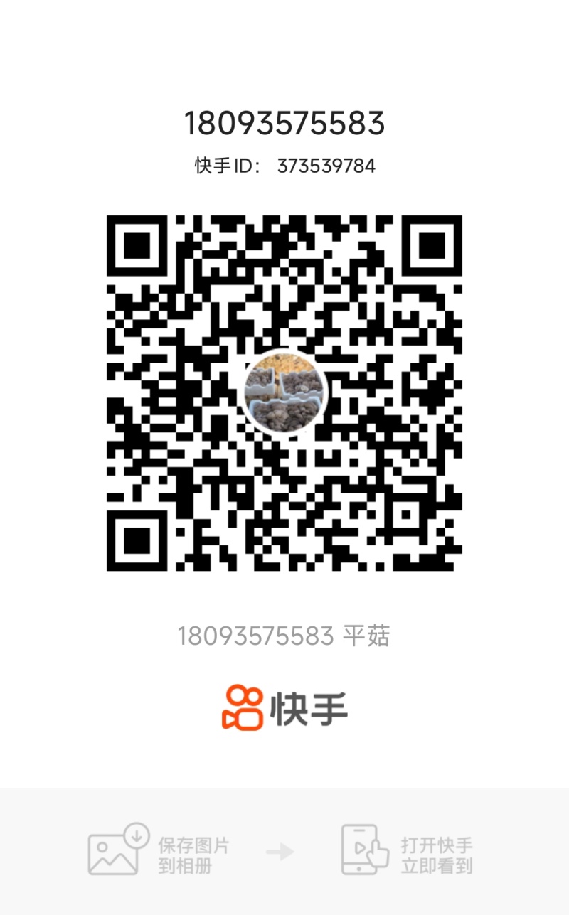 鲜平菇，古浪县，蘑菇，