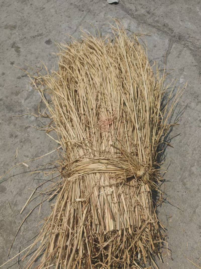 治沙稻草防风固沙厂家直销，价格优惠优质稻草，揉丝轧断稻草