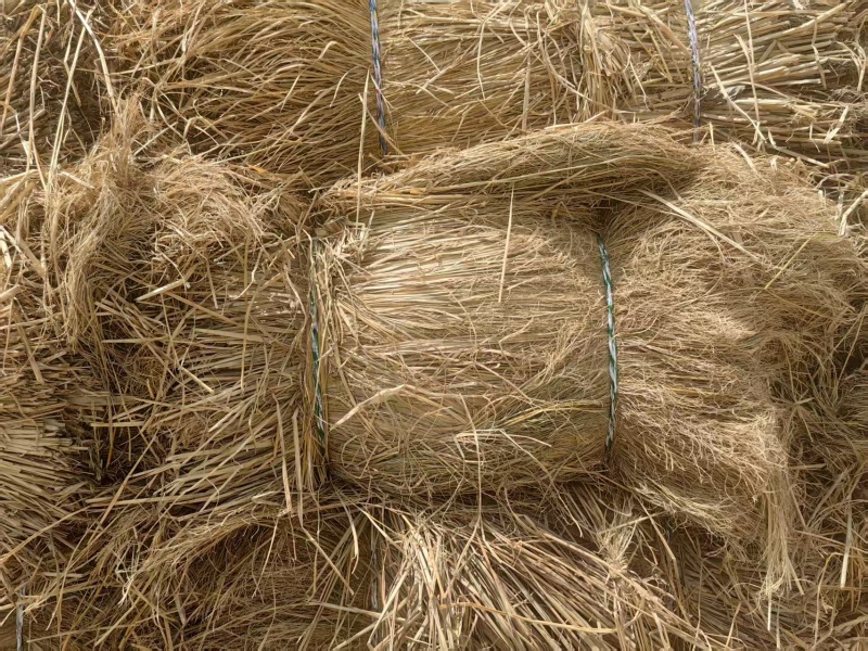 治沙稻草防风固沙厂家直销，价格优惠优质稻草，揉丝轧断稻草