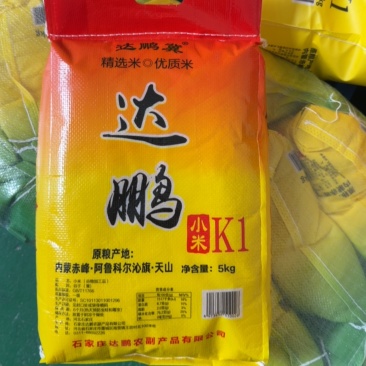 达鹏小米黄金苗K1小米5KG
