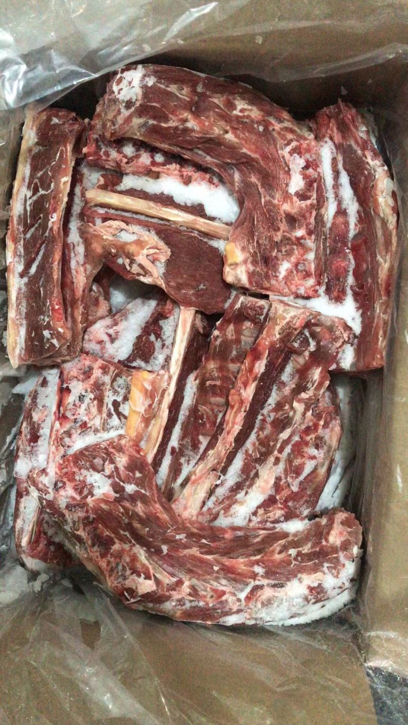 大羊脊骨