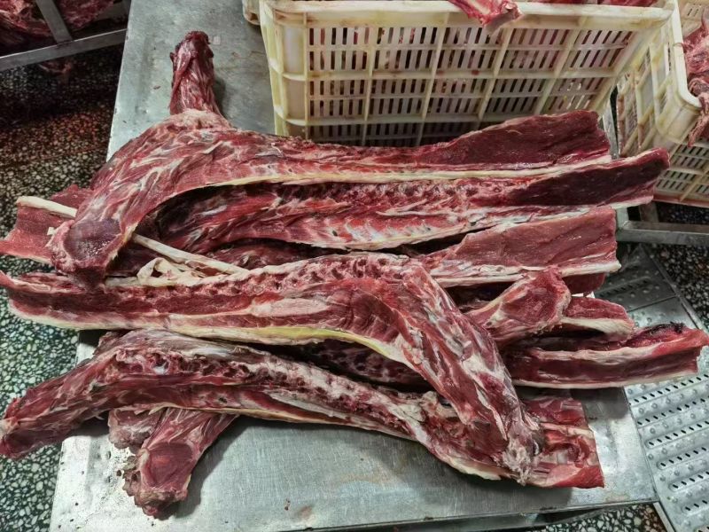 大羊脊骨