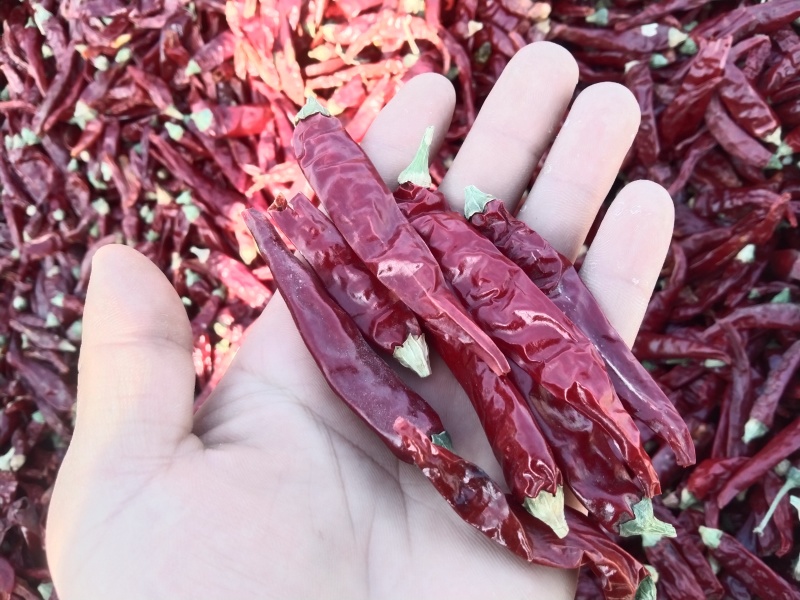 新疆艳椒精品货，欢迎大佬们前来选购欢迎咨询支持一件代发