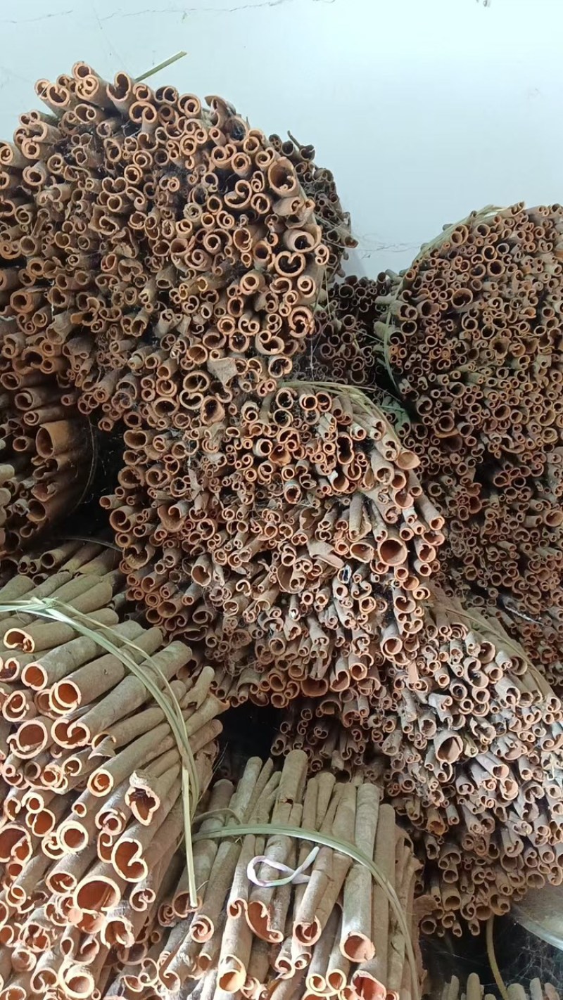 广东云开肉桂批发零售，欢迎来电咨询