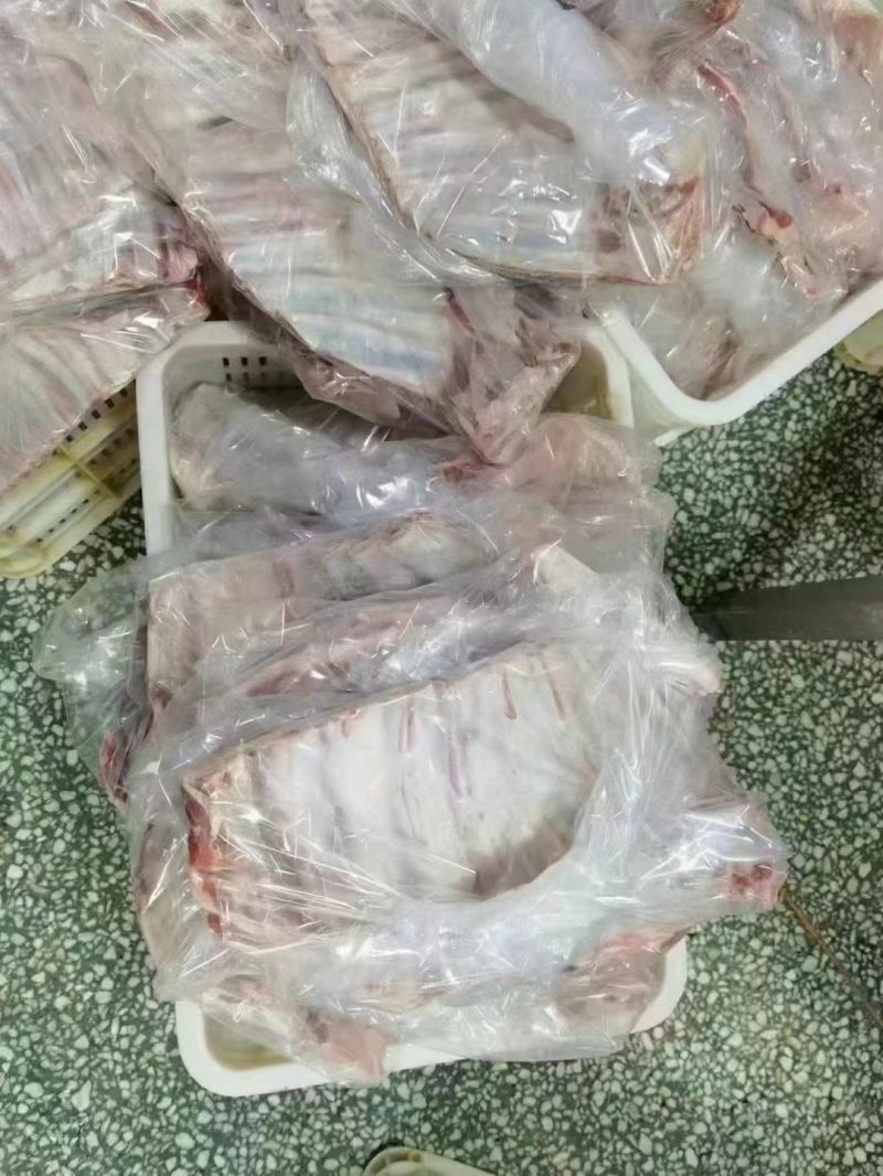 大羊半光排