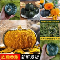 《实力商家》爆粉贝贝南瓜&广西南瓜/电商团购商超批发