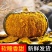 《实力商家》爆粉贝贝南瓜&陕西南瓜/电商团购商超批发