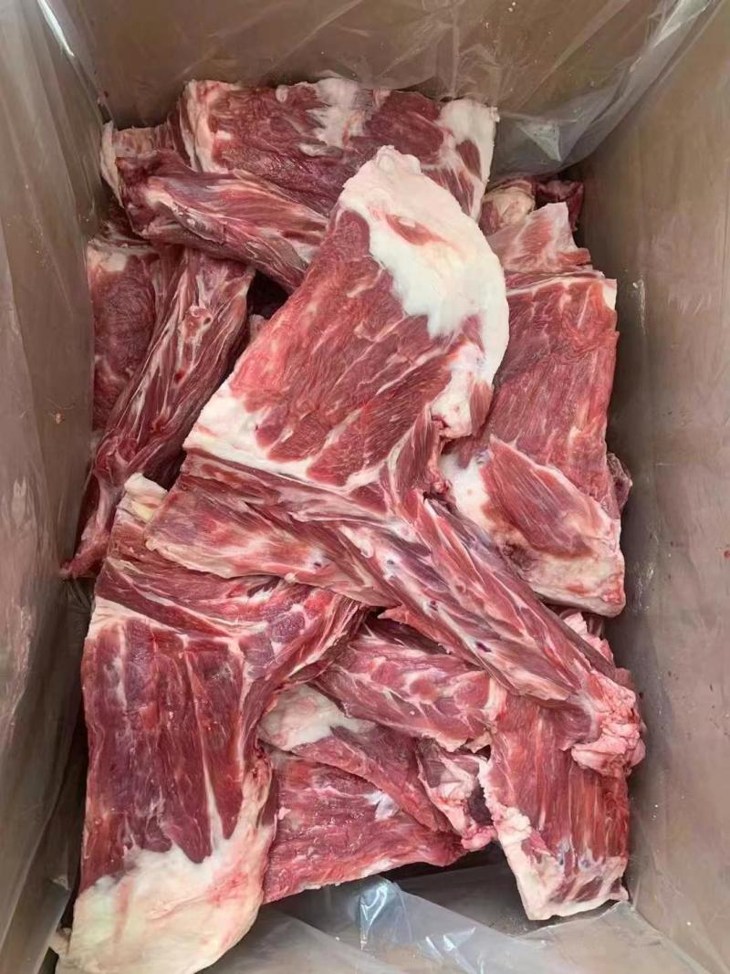 羔羊方肩骨