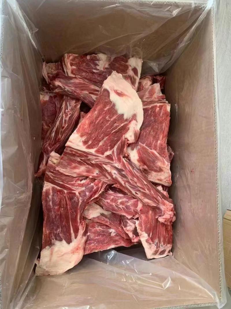 羔羊方肩骨