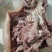 全熟牛头肉清水煮全熟去骨牛头肉精修去油去淋巴