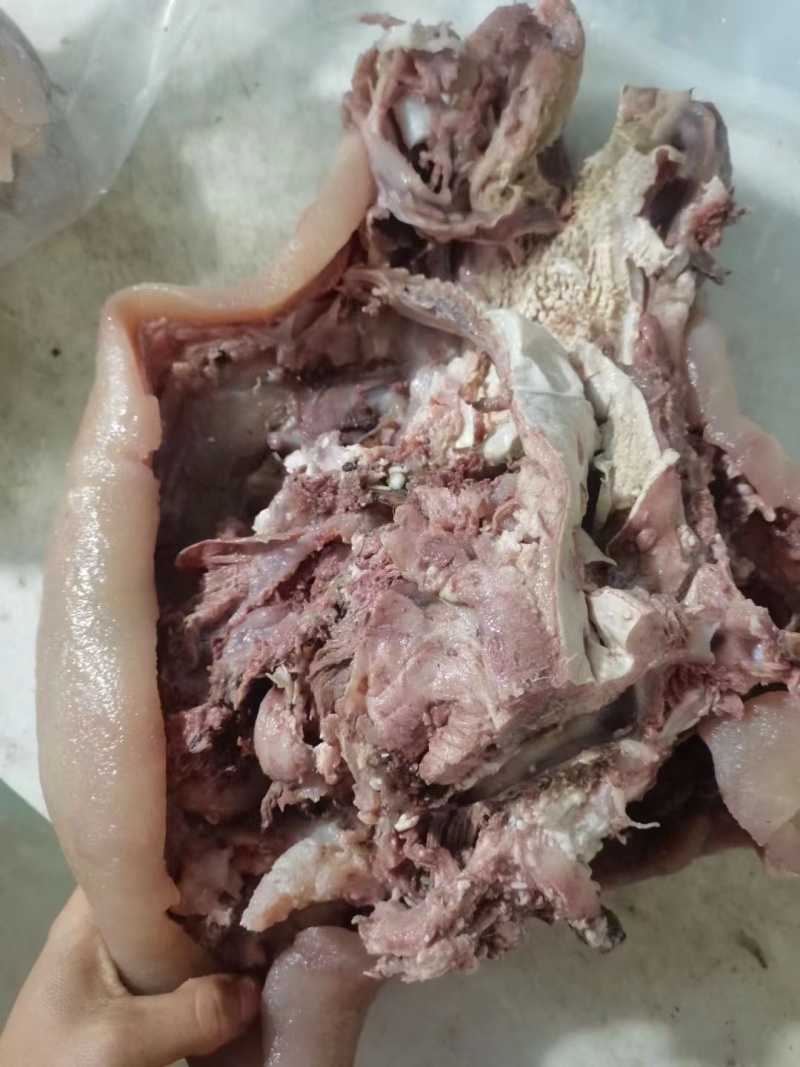 全熟牛头肉清水煮全熟去骨牛头肉精修去油去淋巴