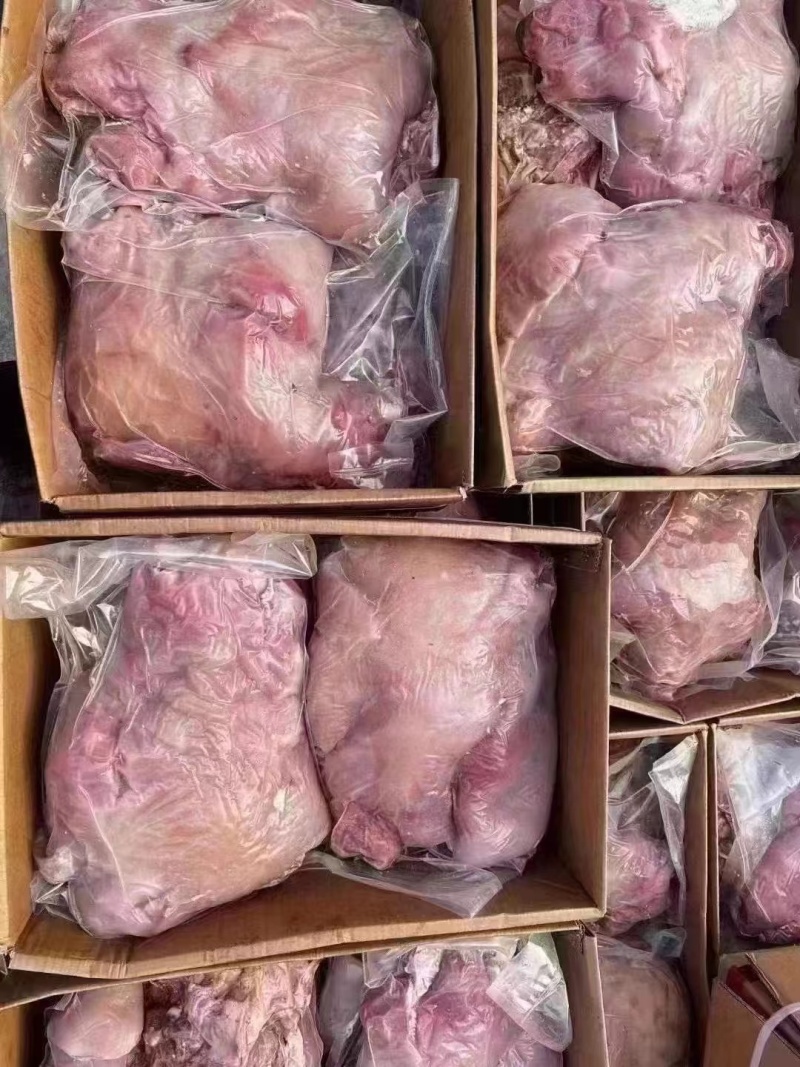全熟牛头肉清水煮全熟去骨牛头肉精修去油去淋巴