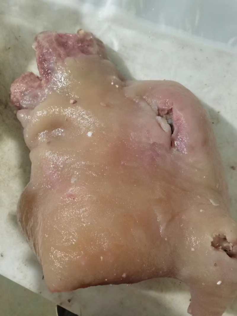 全熟牛头肉清水煮全熟去骨牛头肉精修去油去淋巴