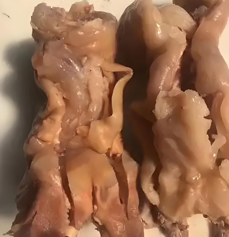 精品牛蹄一手货源全熟去骨牛蹄不抽筋清水煮真空包装牛头肉