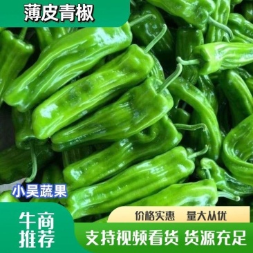 江苏青椒上市中，欢迎市场商超批发