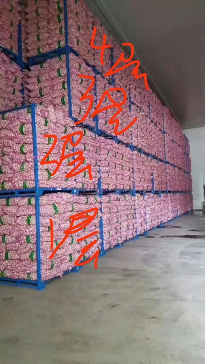 冷库货架堆垛架巧固架大蒜货架。加工各种规格尺寸的货架