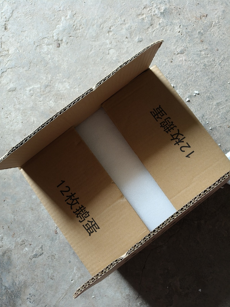 土鹅大白鹅鹅蛋农户家五谷杂粮喂养品质保证欢迎选购