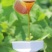 野山花土蜂蜜