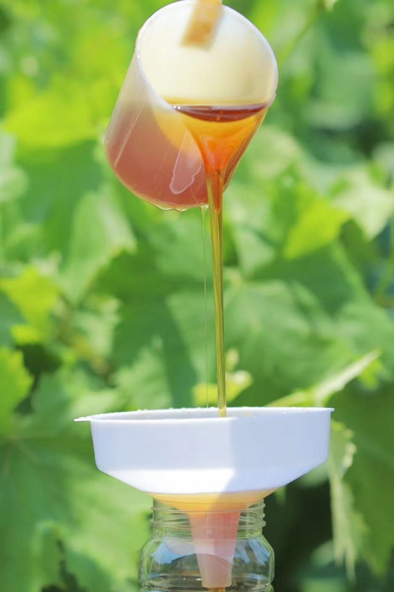 野山花土蜂蜜