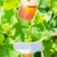 野山花土蜂蜜