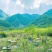 野山花土蜂蜜
