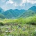 野山花土蜂蜜