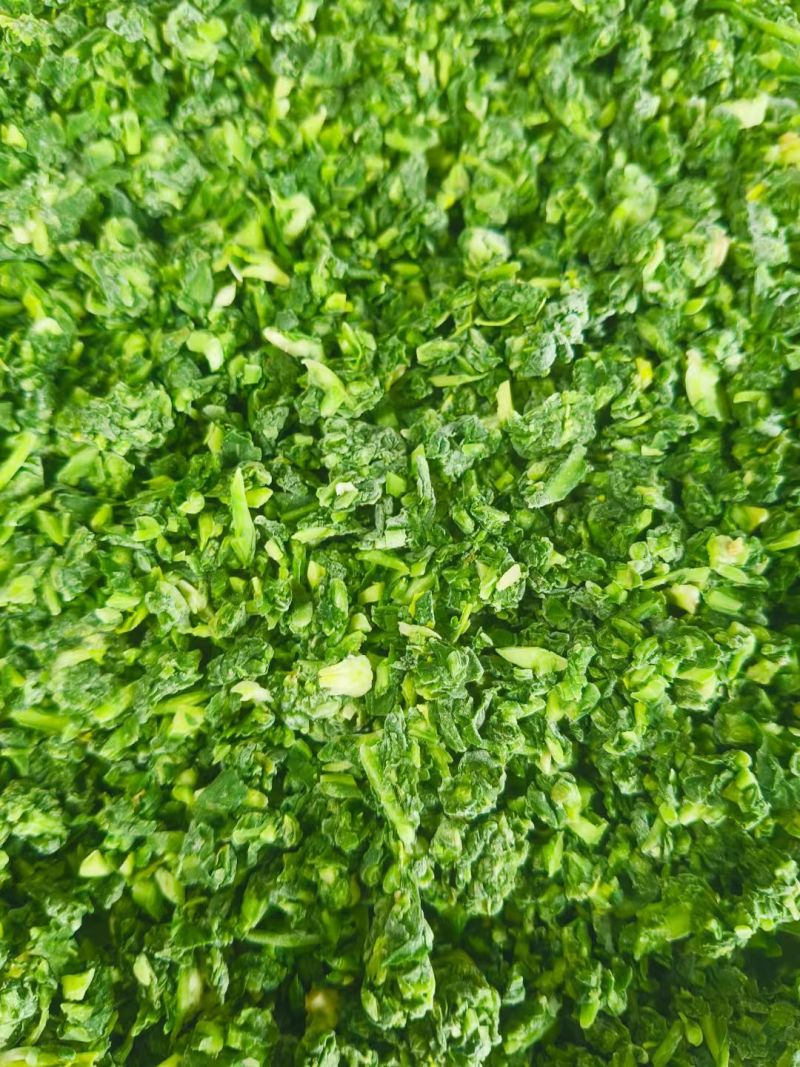 【推荐】茴香馅/视频看货/品质保证/欢迎咨询