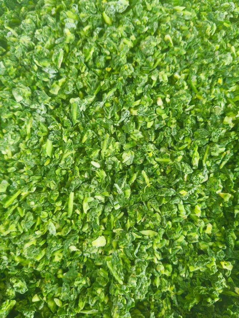 【推荐】茴香馅/视频看货/品质保证/欢迎咨询