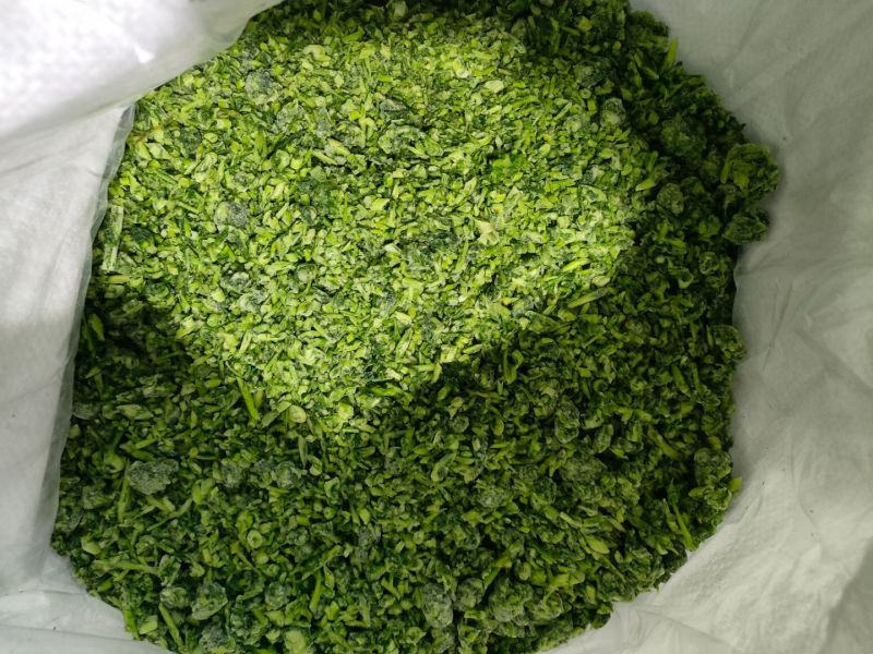 【推荐】茴香馅/视频看货/品质保证/欢迎咨询