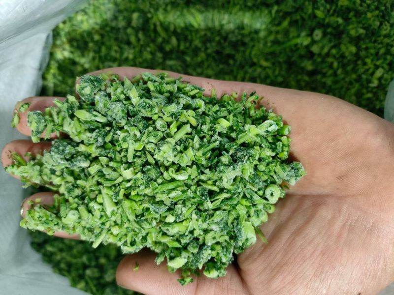 【推荐】茴香馅/视频看货/品质保证/欢迎咨询