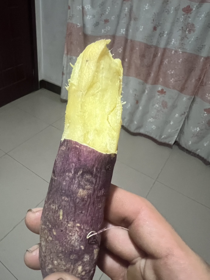 河北红薯丝滑红瑶榴莲蜜薯，红薯中的天花板