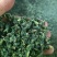 【推荐】蒲公英馅/视频看货/品质保证/欢迎咨询